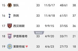 开云下载-热刺主教练战术备受质疑，球队成绩起伏不定的简单介绍