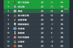 开云APP-关于切尔西主场惨败，积分榜位置下滑的信息