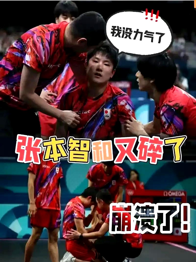 包含法国乒乓球队险胜日本乒乓球队，张本智和完成帽子戏法的词条