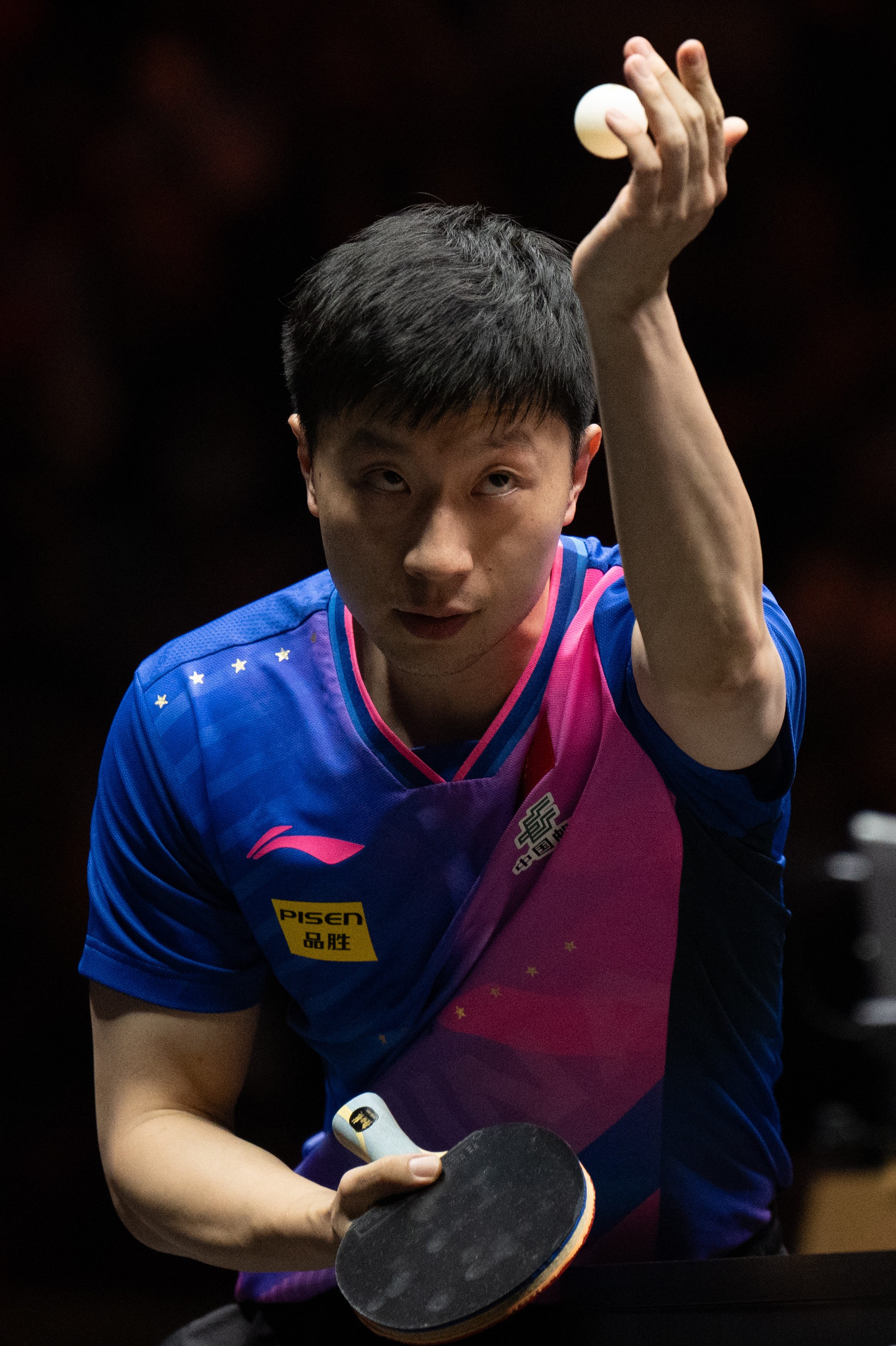 波兰乒乓球队血洗德国乒乓球队，马龙惊艳世界的简单介绍